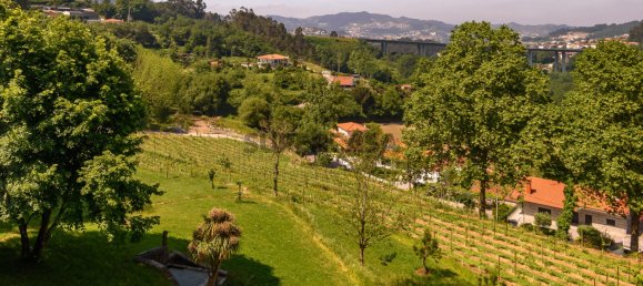 7 chambres Maison à Regilde, Portugal No. 159100 21