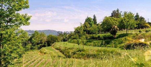 7 chambres Maison à Regilde, Portugal No. 159100 25