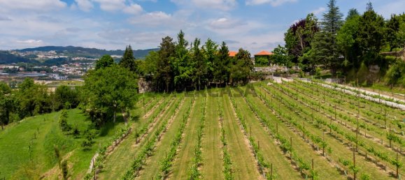 7 chambres Maison à Regilde, Portugal No. 159100 31