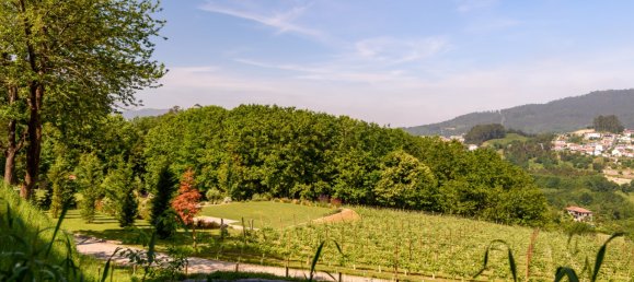 7 chambres Maison à Regilde, Portugal No. 159100 36
