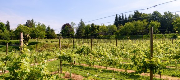 7 chambres Maison à Regilde, Portugal No. 159100 30