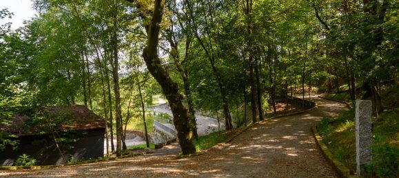 7 chambres Maison à Regilde, Portugal No. 159100 22