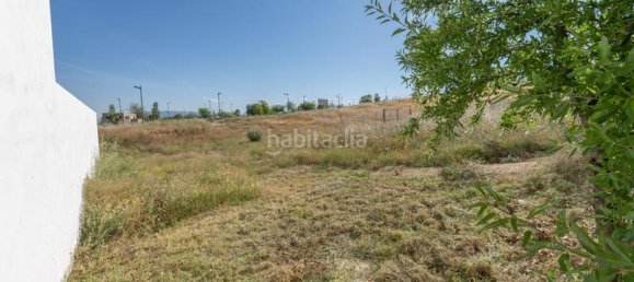قطعة أرض في Granada, Spain 300متر مربع رقم 175745 26