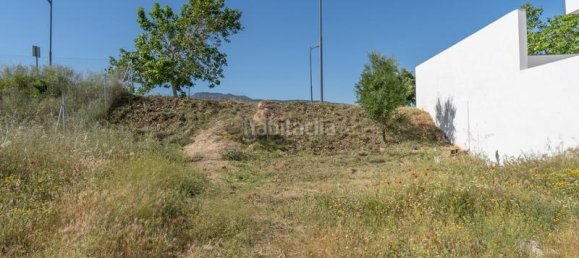 قطعة أرض في Granada, Spain 300متر مربع رقم 175745 21