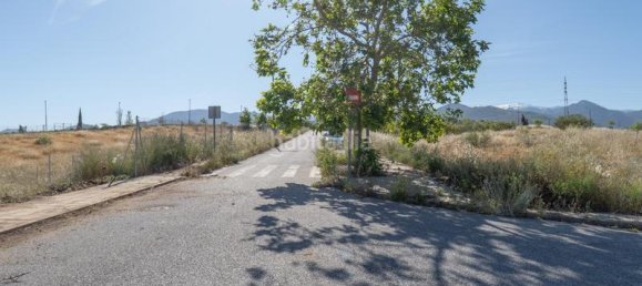 قطعة أرض في Granada, Spain 300متر مربع رقم 175745 31