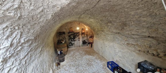 4 bedrooms House in Saint-Leger-des-Aubees, France No. 63740 4