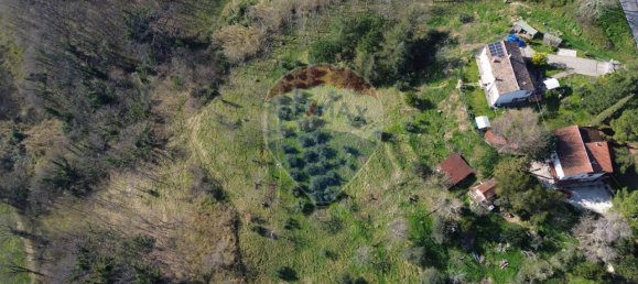 1-Zimmer Grundstück in Castelplanio, Italy, Nr. 12813 3