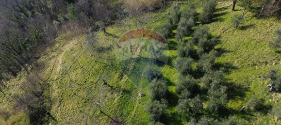 1-Zimmer Grundstück in Castelplanio, Italy, Nr. 12813 5