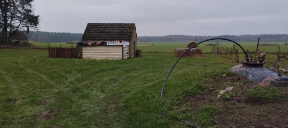 5 Schlafzimmer Haus in Mecklenburgische Seenplatte, Germany, Nr. 262996 4
