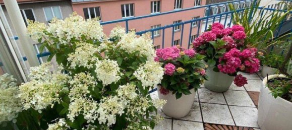 3 rooms Apartment in Rudolfsheim-Funfhaus, Austria No. 226204 6