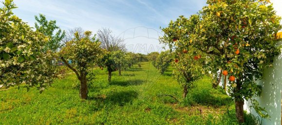 4 bedrooms House in Evora, Portugal No. 54377 11