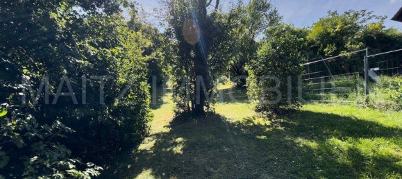 Земельный участок в Гисхюбль, Австрия № 235624 4