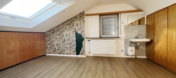 Дом с 8 комнатами в Баден-Вюртемберг, Германия № 42505 31