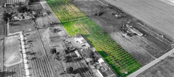 Дом с 2 спальнями в Бенфика ду Рибатежу, Португалия № 30228 5