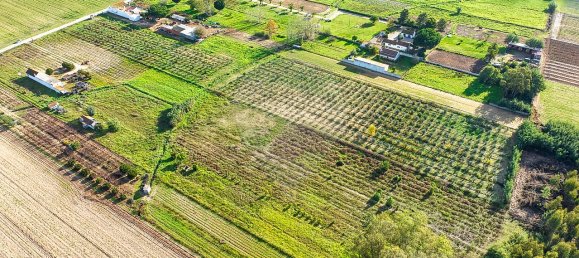 Дом с 2 спальнями в Бенфика ду Рибатежу, Португалия № 30228 16