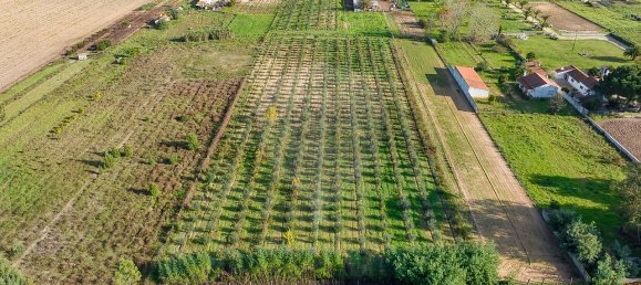 Дом с 2 спальнями в Бенфика ду Рибатежу, Португалия № 30228 18