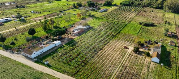 Дом с 2 спальнями в Бенфика ду Рибатежу, Португалия № 30228 10