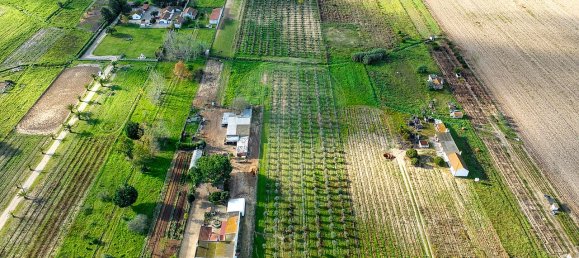 Дом с 2 спальнями в Бенфика ду Рибатежу, Португалия № 30228 12