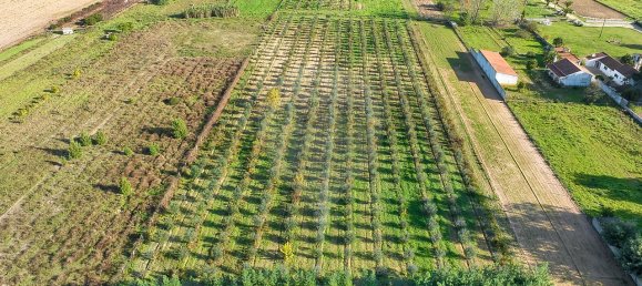 Дом с 2 спальнями в Бенфика ду Рибатежу, Португалия № 30228 20