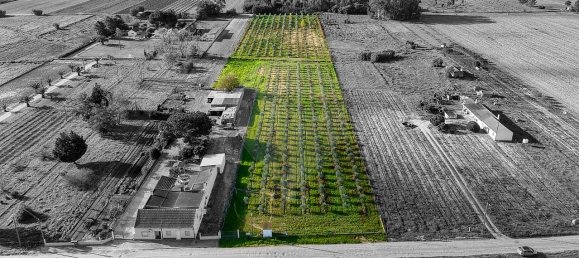 Дом с 2 спальнями в Бенфика ду Рибатежу, Португалия № 30228 3