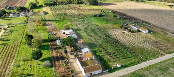 Дом с 2 спальнями в Бенфика ду Рибатежу, Португалия № 30228 11