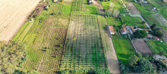 Дом с 2 спальнями в Бенфика ду Рибатежу, Португалия № 30228 14