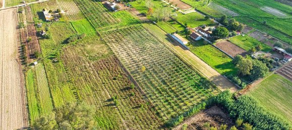 Дом с 2 спальнями в Бенфика ду Рибатежу, Португалия № 30228 15