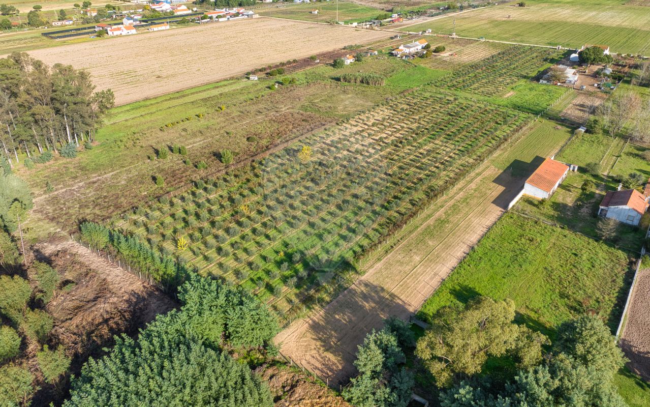 Дом с 2 спальнями в Бенфика ду Рибатежу, Португалия № 30228