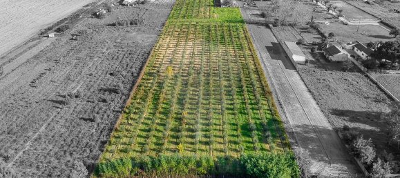 Дом с 2 спальнями в Бенфика ду Рибатежу, Португалия № 30228 8