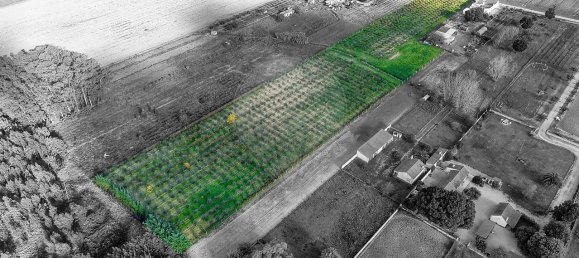 Дом с 2 спальнями в Бенфика ду Рибатежу, Португалия № 30228 6