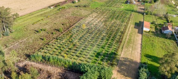 Дом с 2 спальнями в Бенфика ду Рибатежу, Португалия № 30228 17