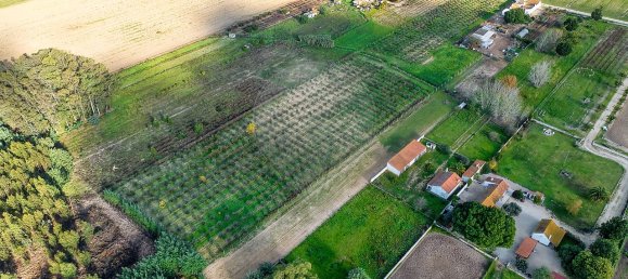 Дом с 2 спальнями в Бенфика ду Рибатежу, Португалия № 30228 2