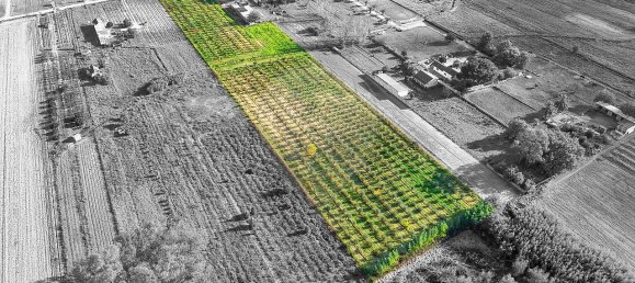 Дом с 2 спальнями в Бенфика ду Рибатежу, Португалия № 30228 7