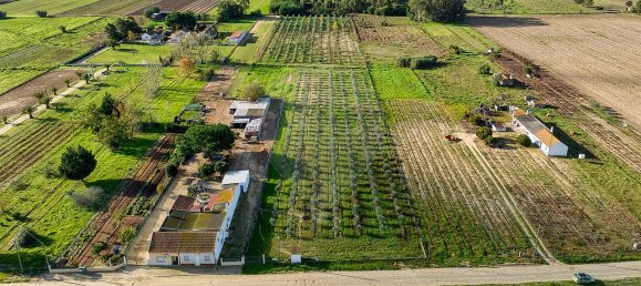 Дом с 2 спальнями в Бенфика ду Рибатежу, Португалия № 30228 9