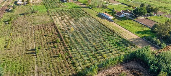 Дом с 2 спальнями в Бенфика ду Рибатежу, Португалия № 30228 19