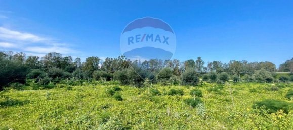65543m² Land in Terrasini, Italy No. 267764 9