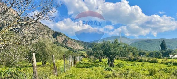 65543m² Land in Terrasini, Italy No. 267764 16