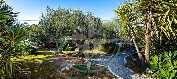 4 غرف نوم فيلا في Tavira, Portugal رقم 122310 73