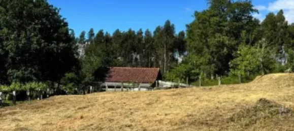 1200m² Land in Pontevedra, Spain No. 142683 8