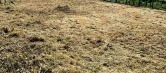 1200m² Land in Pontevedra, Spain No. 142683 4