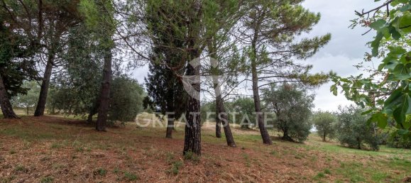 11 bedrooms House in Orvieto, Italy No. 330966 9