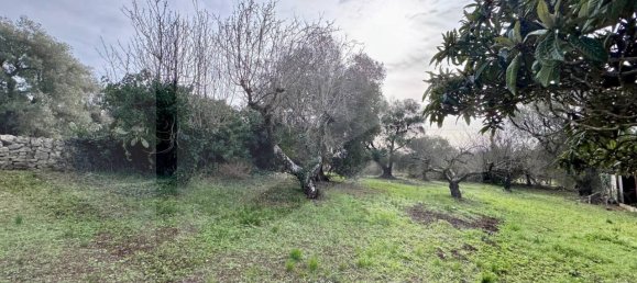 6غرفة منزل في Ceglie Messapica, Italy رقم 20276 15