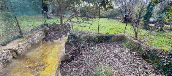 6غرفة منزل في Ceglie Messapica, Italy رقم 20276 13