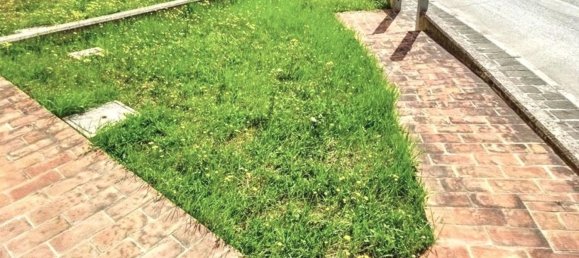 3-Zimmer Wohnung in Monte Roberto, Italy, Nr. 284983 9