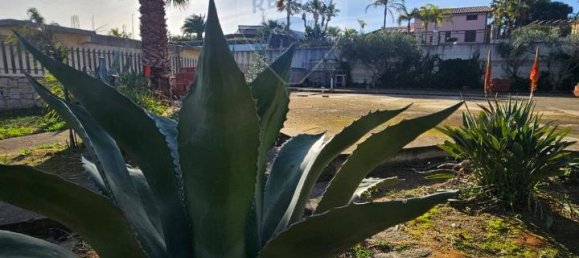 1-Zimmer Grundstück in Alcamo, Italy, Nr. 69857 7