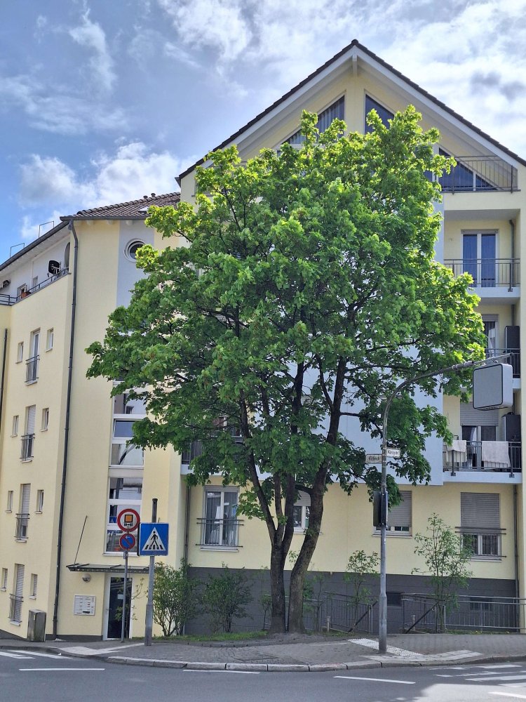 3-salle Appartement à Remscheid, Germany No. 218519