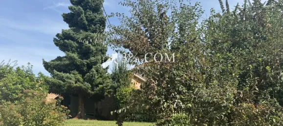 4 bedrooms House in Bas-Rhin, France No. 319210 2