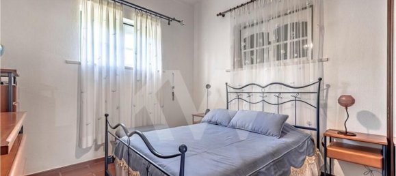 3 bedrooms House in Benavente, Portugal No. 146425 7