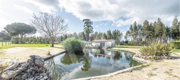 3 bedrooms House in Benavente, Portugal No. 146425 24