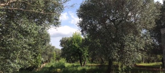 Дом с 3 комнатами в Челье Мессапика, Италия № 164631 21